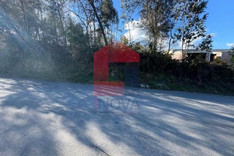 Helårsgrund i Vila Verde, Braga, Vila Verde - € 66.500 | Ref: 08585 - foto 13