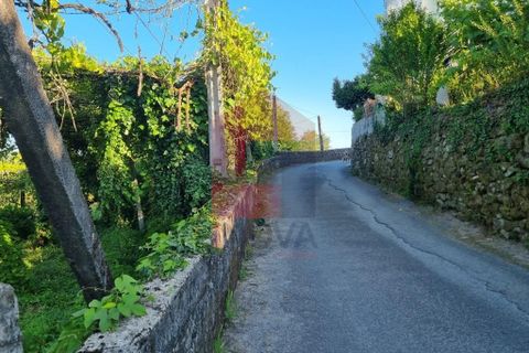 Helårsgrund i Vila Verde, Braga, Vila Verde - € 36.500 | Ref: 08484 - foto 11