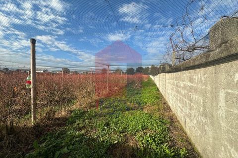 Helårsgrund i Vila Verde, Braga, Vila Verde - € 298.000 | Ref: 08521 - foto 3