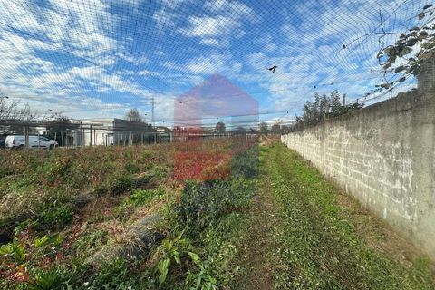 Helårsgrund i Vila Verde, Braga, Vila Verde - € 298.000 | Ref: 08521 - foto 7