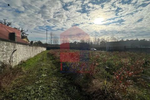 Helårsgrund i Vila Verde, Braga, Vila Verde - € 298.000 | Ref: 08521 - foto 8
