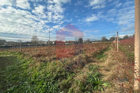 Helårsgrund i Vila Verde, Braga, Vila Verde - € 298.000 | Ref: 08521 - foto 9