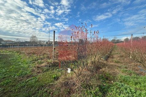 Helårsgrund i Vila Verde, Braga, Vila Verde - € 298.000 | Ref: 08521 - foto 17
