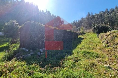 Farm i Vila Verde, Braga, Vila Verde - € 215.000 | Ref: 08529 - foto 4
