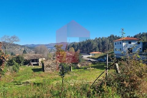 Farm i Vila Verde, Braga, Vila Verde - € 215.000 | Ref: 08529 - foto 5