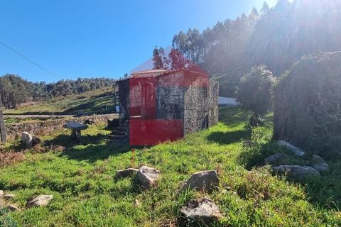 Farm i Vila Verde, Braga, Vila Verde - € 215.000 | Ref: 08529 - foto 8