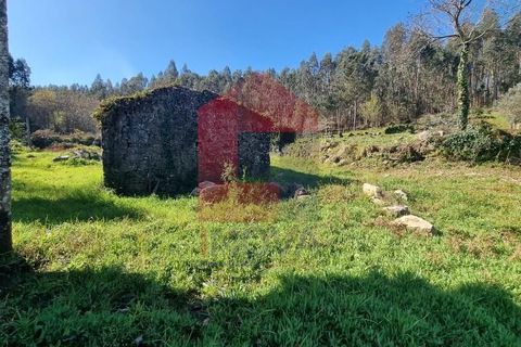 Farm i Vila Verde, Braga, Vila Verde - € 215.000 | Ref: 08529 - foto 10