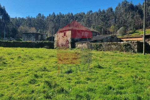 Farm i Vila Verde, Braga, Vila Verde - € 215.000 | Ref: 08529 - foto 11