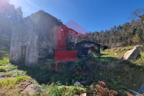 Farm i Vila Verde, Braga, Vila Verde - € 215.000 | Ref: 08529 - foto 13