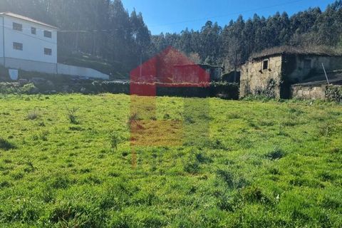 Farm i Vila Verde, Braga, Vila Verde - € 215.000 | Ref: 08529 - foto 14