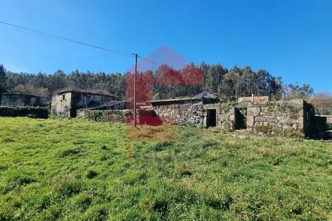 Farm i Vila Verde, Braga, Vila Verde - € 215.000 | Ref: 08529 - foto 15