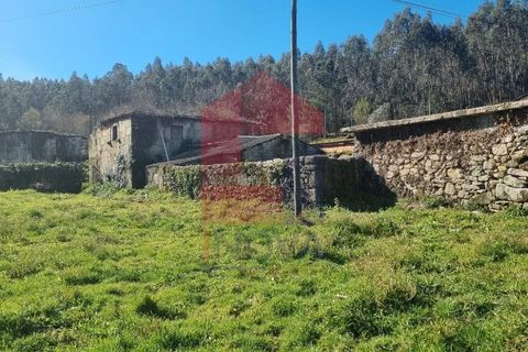 Farm i Vila Verde, Braga, Vila Verde - € 215.000 | Ref: 08529 - foto 16