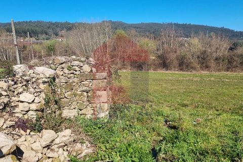 Farm i Vila Verde, Braga, Vila Verde - € 215.000 | Ref: 08529 - foto 17