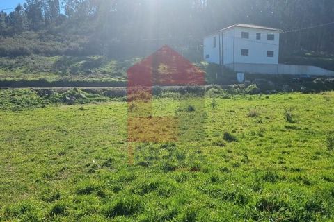 Farm i Vila Verde, Braga, Vila Verde - € 215.000 | Ref: 08529 - foto 19