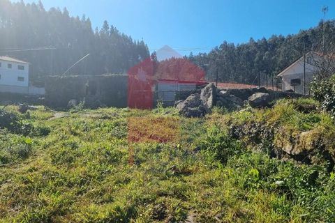Farm i Vila Verde, Braga, Vila Verde - € 215.000 | Ref: 08529 - foto 21