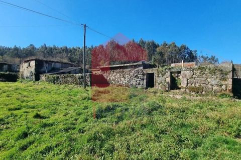 Farm i Vila Verde, Braga, Vila Verde - € 215.000 | Ref: 08529 - foto 22