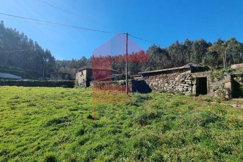 Farm i Vila Verde, Braga, Vila Verde - € 215.000 | Ref: 08529 - foto 23