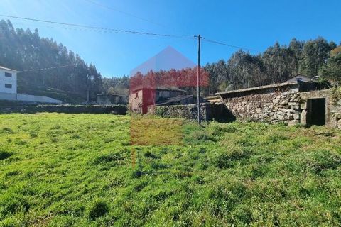 Farm i Vila Verde, Braga, Vila Verde - € 215.000 | Ref: 08529 - foto 25