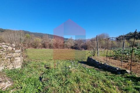 Farm i Vila Verde, Braga, Vila Verde - € 215.000 | Ref: 08529 - foto 26