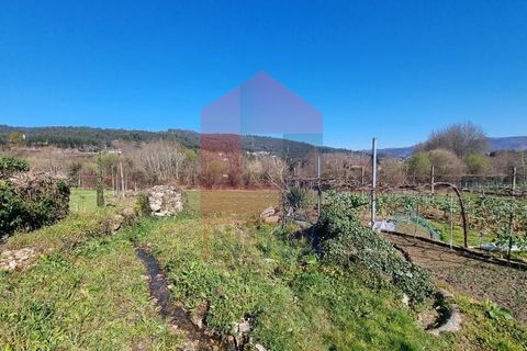 Farm i Vila Verde, Braga, Vila Verde - € 215.000 | Ref: 08529 - foto 27