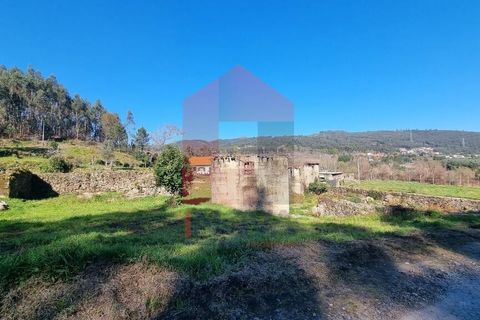 Farm i Vila Verde, Braga, Vila Verde - € 215.000 | Ref: 08529 - foto 28