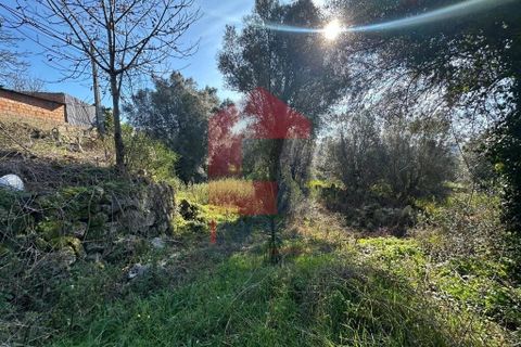 Byhus i Vila Verde, Braga, Vila Verde - € 250.000 | Ref: 08554 - foto 17