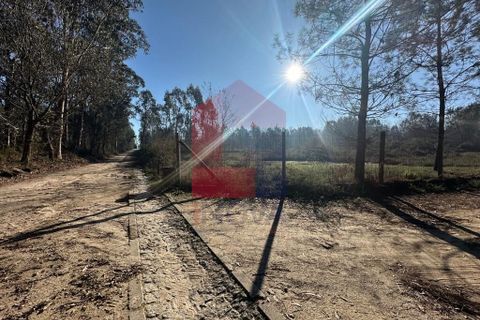 Helårsgrund i Amares, Braga, Amares - € 240.000 | Ref: 08571 - foto 2