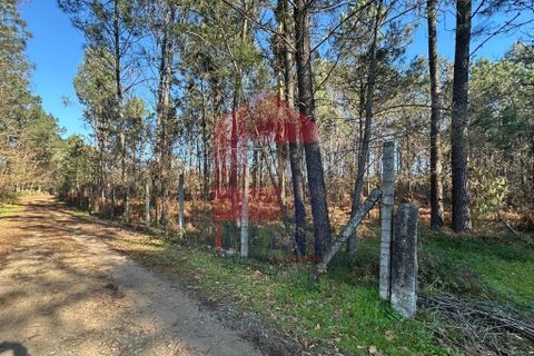 Helårsgrund i Amares, Braga, Amares - € 240.000 | Ref: 08571 - foto 3