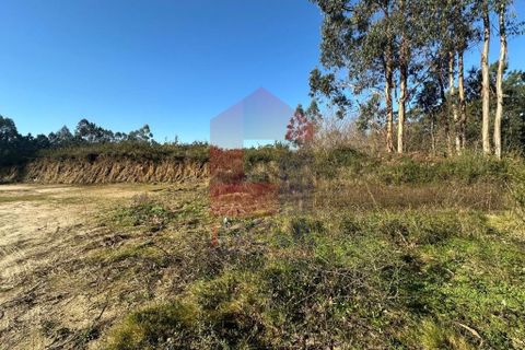 Helårsgrund i Amares, Braga, Amares - € 240.000 | Ref: 08571 - foto 4