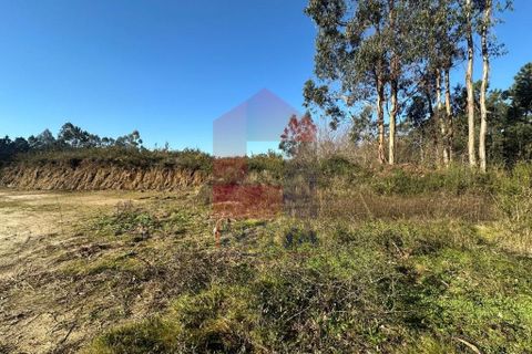 Helårsgrund i Amares, Braga, Amares - € 240.000 | Ref: 08571 - foto 8
