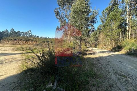Helårsgrund i Amares, Braga, Amares - € 240.000 | Ref: 08571 - foto 9