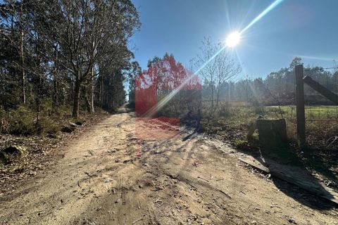 Helårsgrund i Amares, Braga, Amares - € 240.000 | Ref: 08571 - foto 10