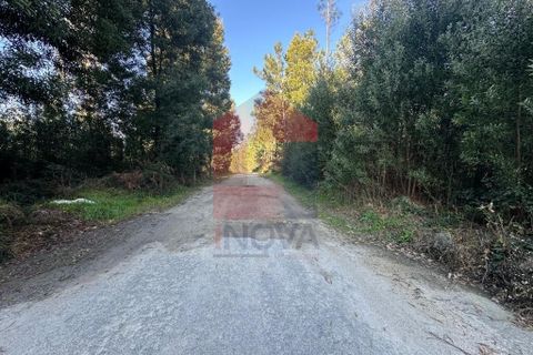 Helårsgrund i Amares, Braga, Amares - € 240.000 | Ref: 08571 - foto 15