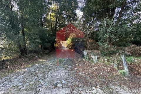 Helårsgrund i Amares, Braga, Amares - € 240.000 | Ref: 08571 - foto 16