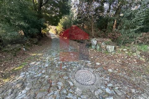 Helårsgrund i Amares, Braga, Amares - € 240.000 | Ref: 08571 - foto 17