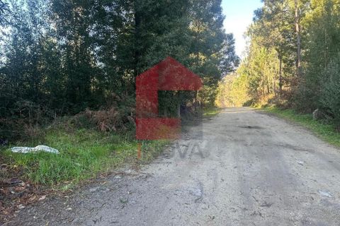 Helårsgrund i Amares, Braga, Amares - € 240.000 | Ref: 08571 - foto 18