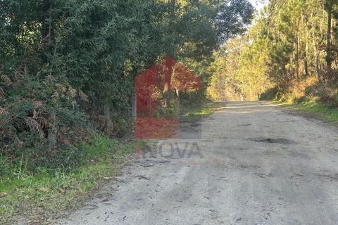 Helårsgrund i Amares, Braga, Amares - € 240.000 | Ref: 08571 - foto 19