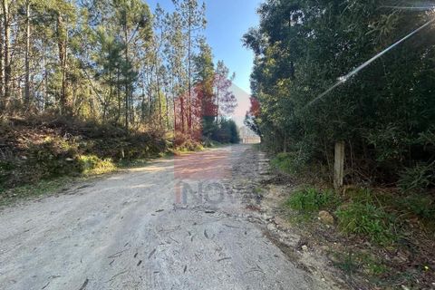 Helårsgrund i Amares, Braga, Amares - € 240.000 | Ref: 08571 - foto 20