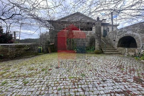 Farm i Vila Verde, Braga, Vila Verde - € 900.000 | Ref: 08580 - foto 9