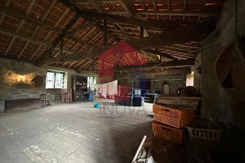 Farm i Vila Verde, Braga, Vila Verde - € 900.000 | Ref: 08580 - foto 19