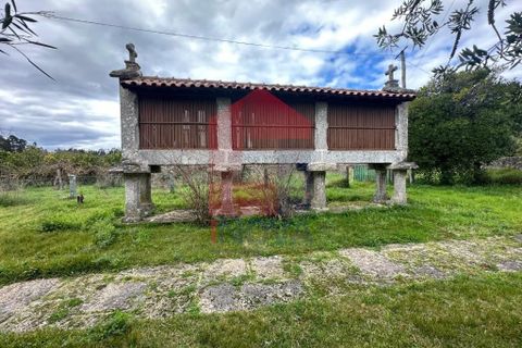 Farm i Vila Verde, Braga, Vila Verde - € 900.000 | Ref: 08580 - foto 28