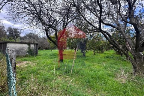 Farm i Vila Verde, Braga, Vila Verde - € 900.000 | Ref: 08580 - foto 33
