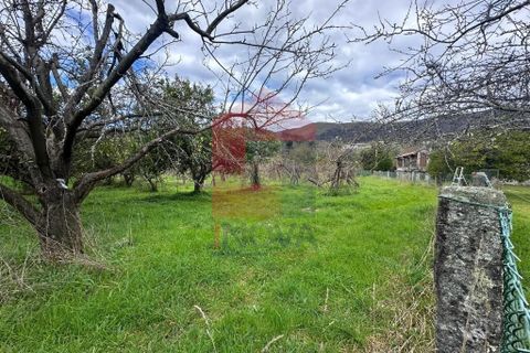 Farm i Vila Verde, Braga, Vila Verde - € 900.000 | Ref: 08580 - foto 35