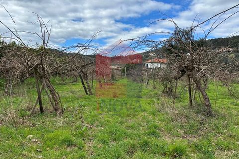 Farm i Vila Verde, Braga, Vila Verde - € 900.000 | Ref: 08580 - foto 38