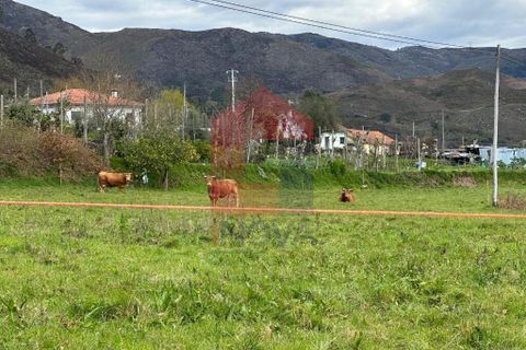 Farm i Vila Verde, Braga, Vila Verde - € 900.000 | Ref: 08580 - foto 39