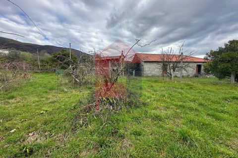 Farm i Vila Verde, Braga, Vila Verde - € 900.000 | Ref: 08580 - foto 41