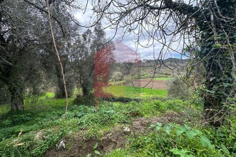 Farm i Vila Verde, Braga, Vila Verde - € 900.000 | Ref: 08580 - foto 42