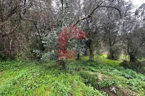 Farm i Vila Verde, Braga, Vila Verde - € 900.000 | Ref: 08580 - foto 43