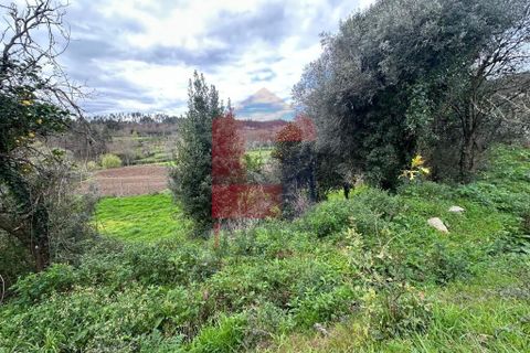 Farm i Vila Verde, Braga, Vila Verde - € 900.000 | Ref: 08580 - foto 44