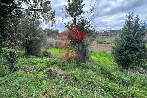 Farm i Vila Verde, Braga, Vila Verde - € 900.000 | Ref: 08580 - foto 45
